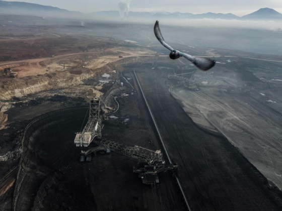 Pigeon flying over a coal mine